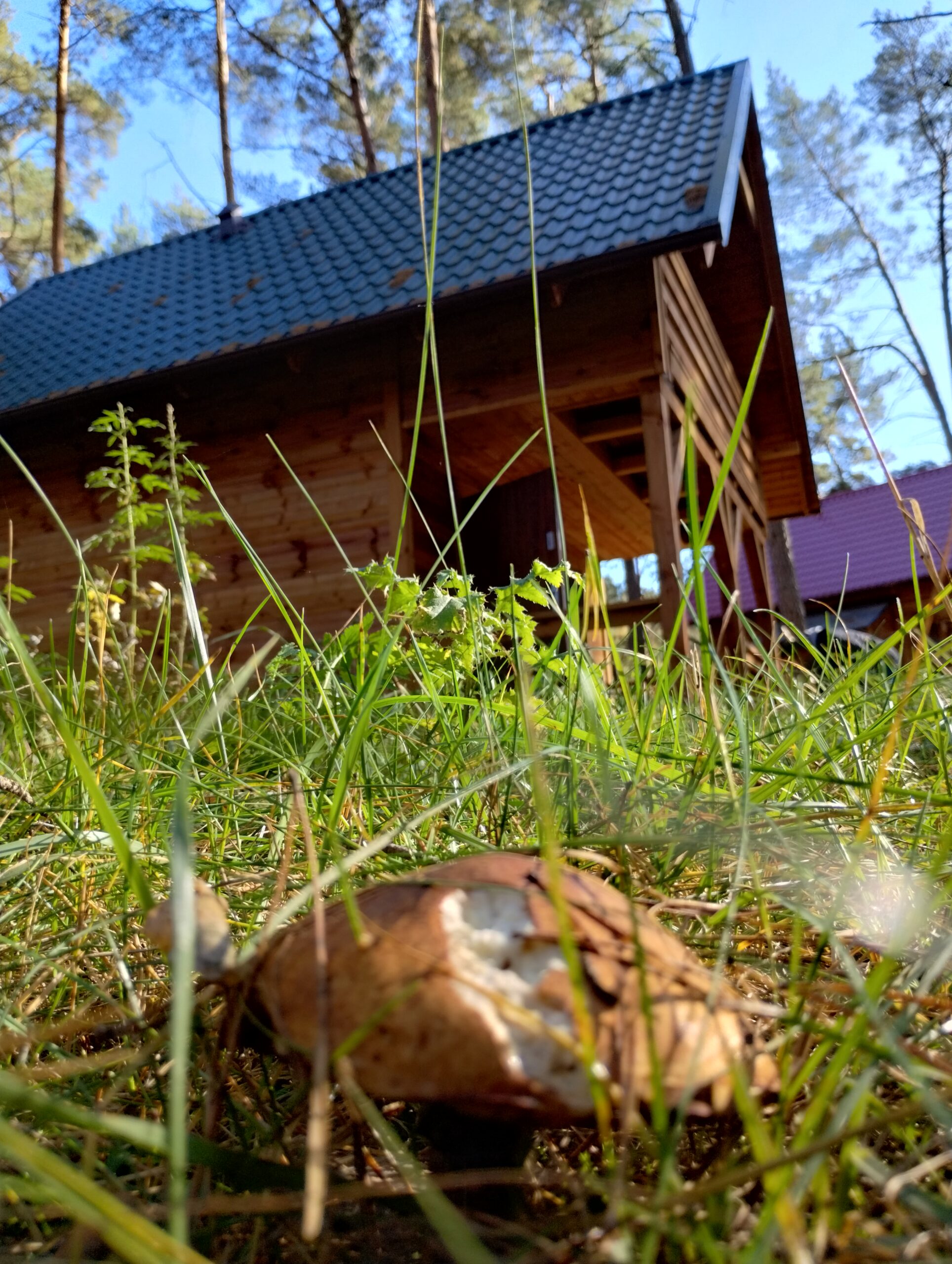 img 20241012 140825871 hdr