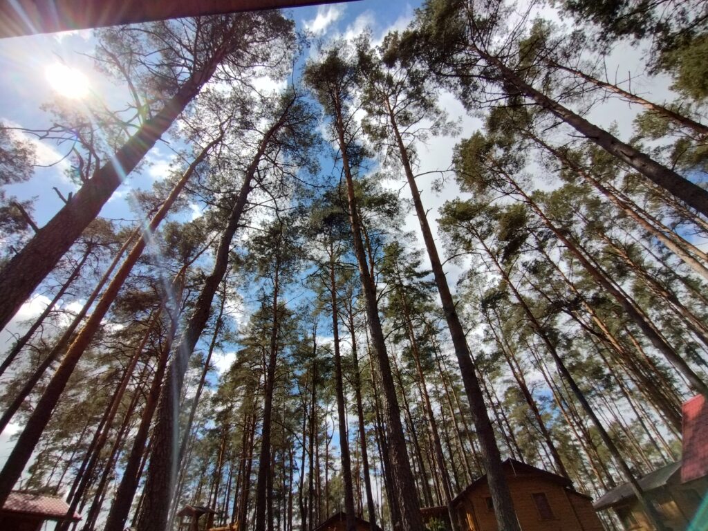 img 20250510 123852530 hdr