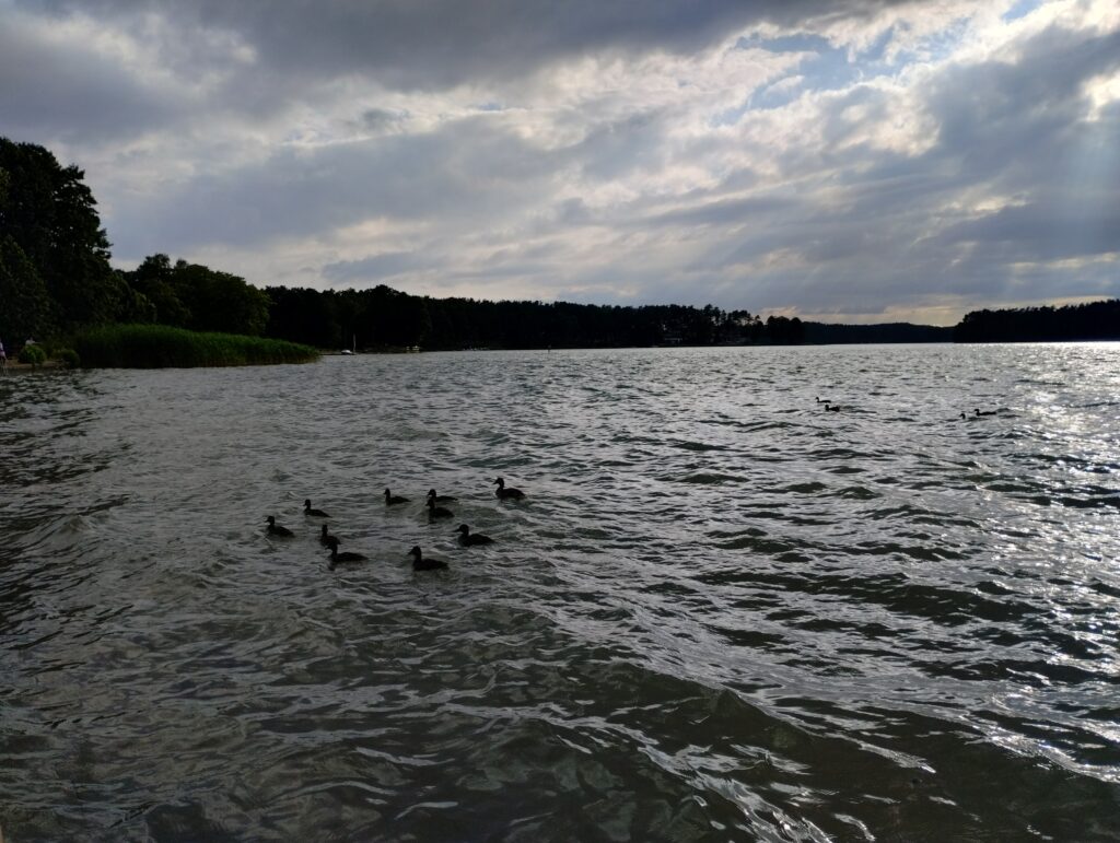 img 20250726 182134111 hdr