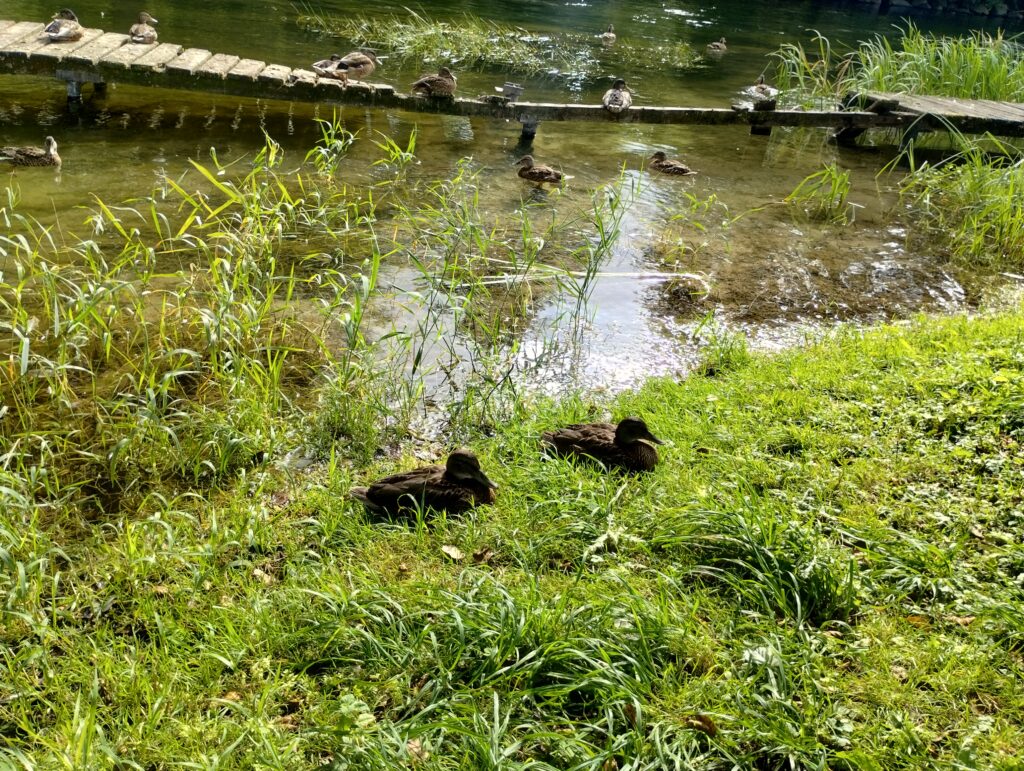 img 20250826 160329068 hdr