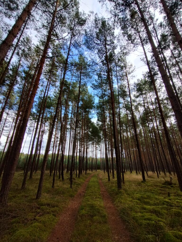 img 20250923 153303969 hdr