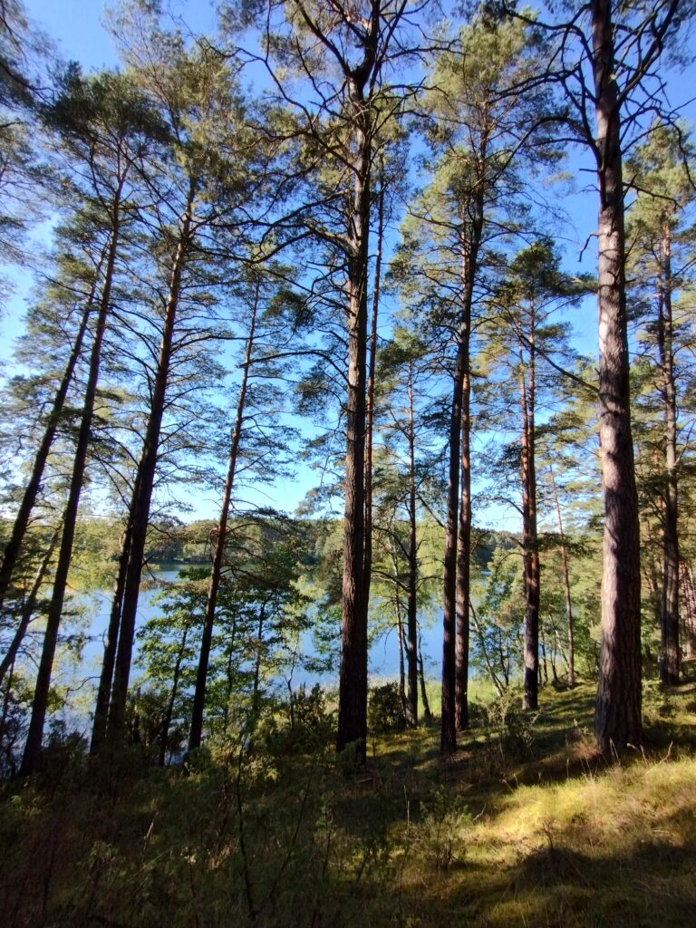 img 20250926 142728549 hdr