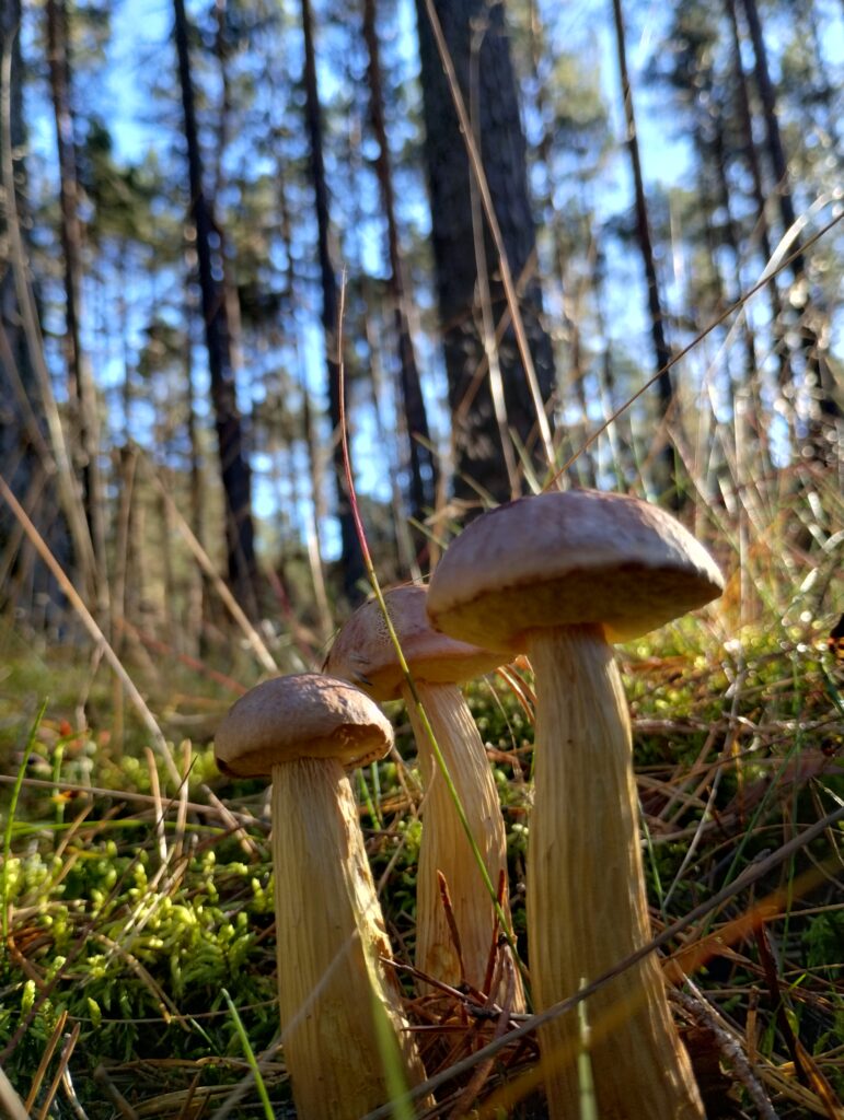 img 20250926 161604704 hdr