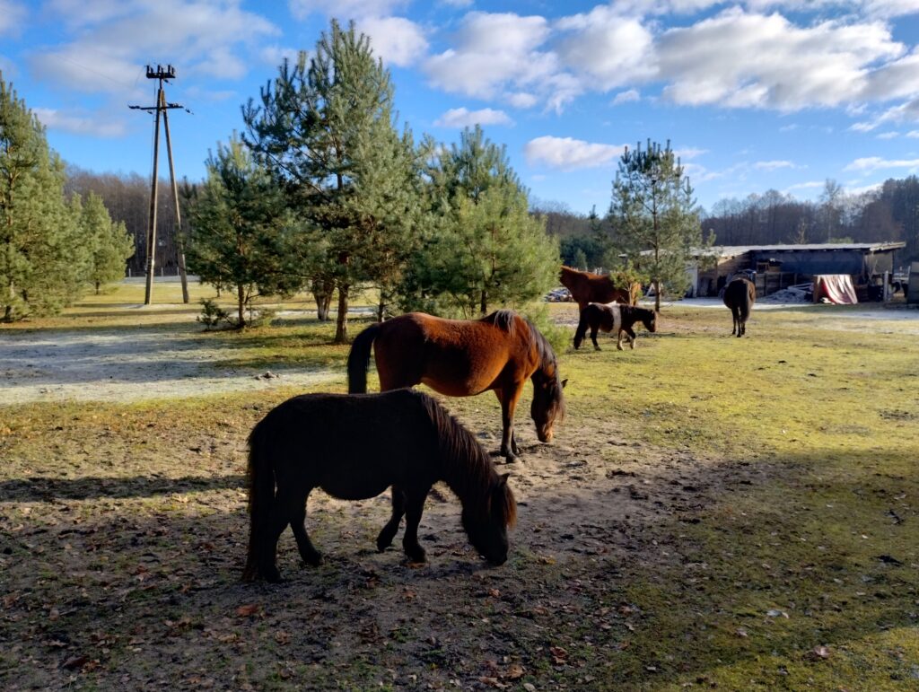 img 20251122 115812351 hdr
