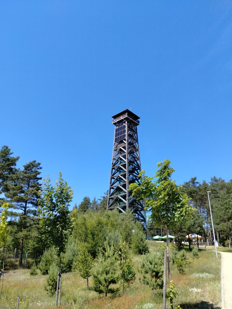 img 20250622 131854816
